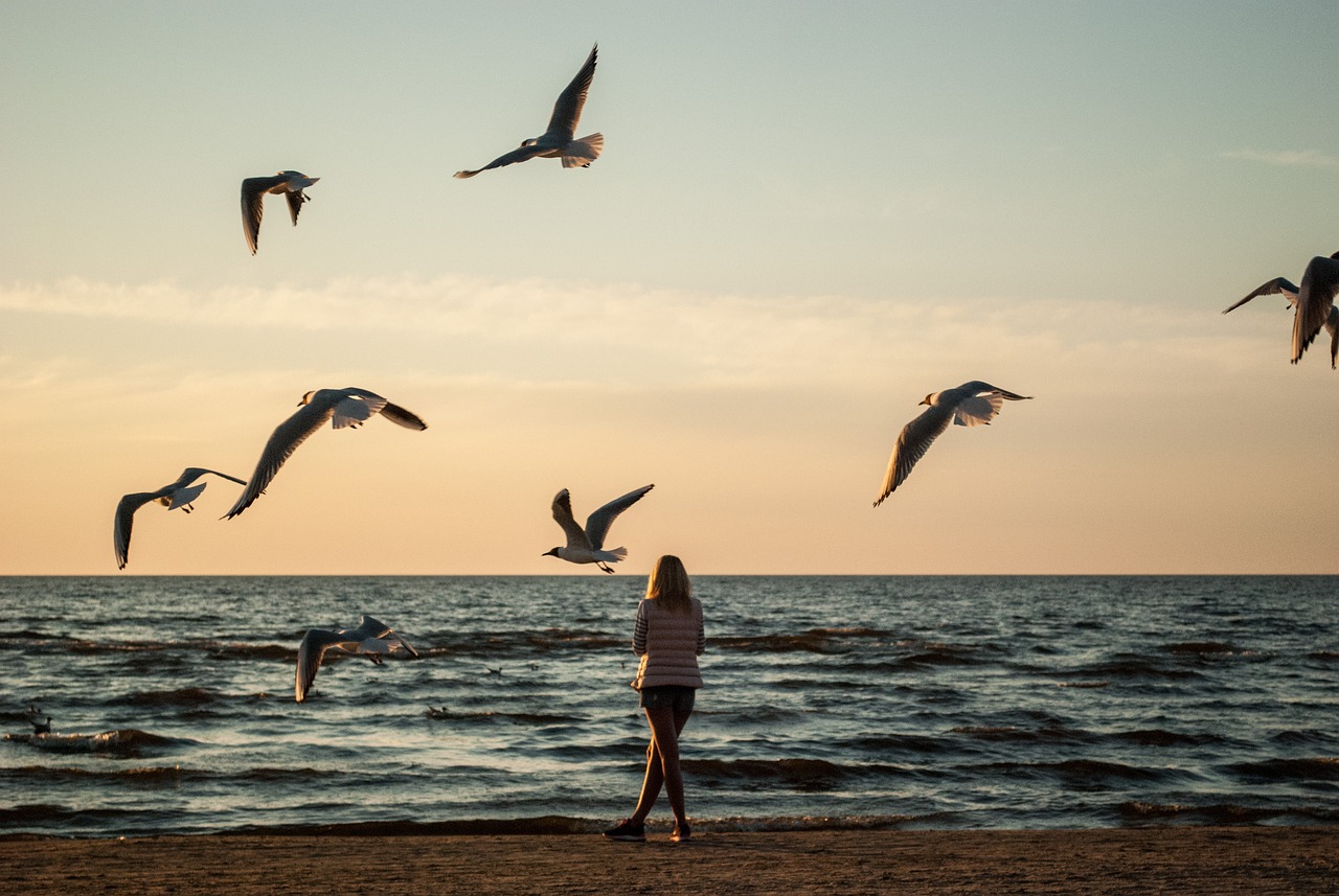 passeggiata al mare con i gabbiani - pensiero positivo, mindfulness e psicologia a San Salvario, Torino